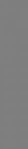 text-background
